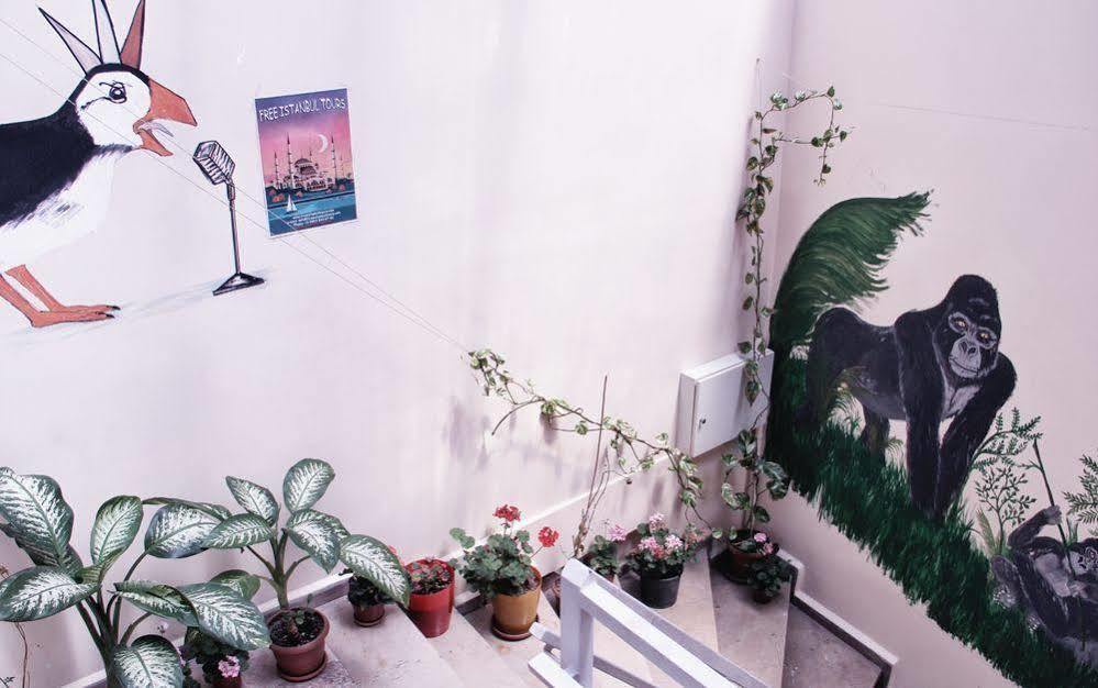 Hostel Puffin Boutique - Istanbulská provincie Exteriér fotografie